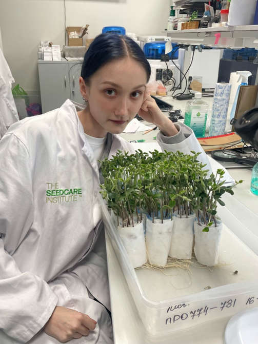 Студентка Тимирязевки покорила Syngenta Seedcare Academy